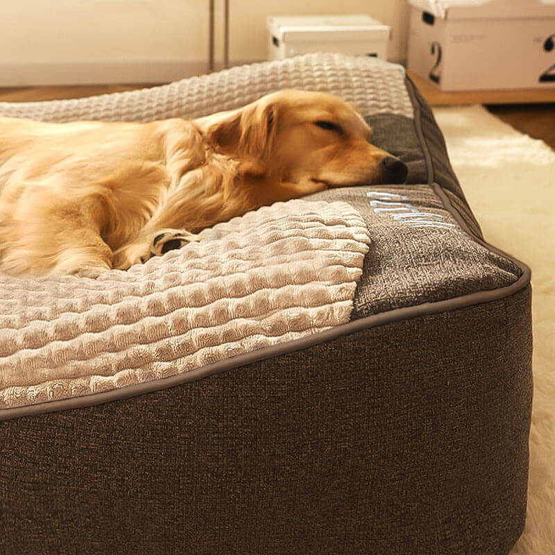 Large Thick Scratch-Resistant Dog Cushion Bed with Orthopedic Support for Joint Health - LofiMart