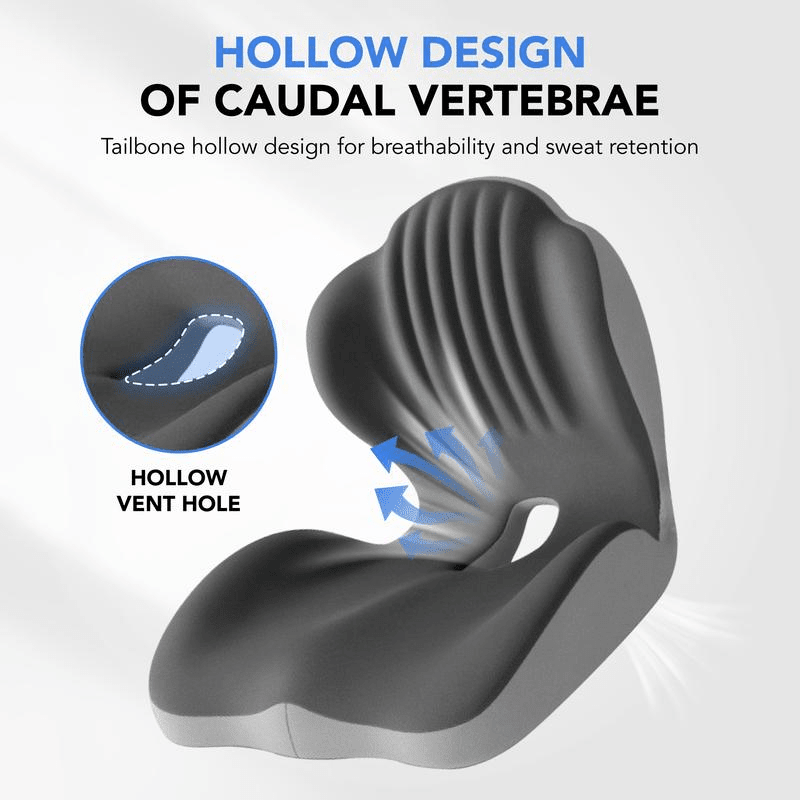 Memory Foam Seat Cushion with Contoured Support for Office Chairs and Car Seats - LofiMart