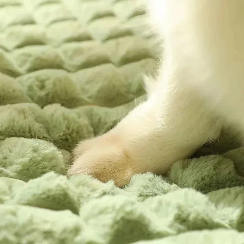 Orthopedic Memory Foam Pet Bed with Removable Washable Cover for Dogs and Cats - LofiMart