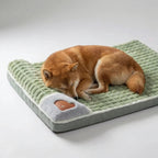 Orthopedic Memory Foam Pet Bed with Removable Washable Cover for Dogs and Cats - LofiMart