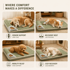 Orthopedic Memory Foam Pet Bed with Removable Washable Cover for Dogs and Cats - LofiMart