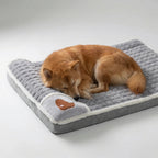 Orthopedic Memory Foam Pet Bed with Removable Washable Cover for Dogs and Cats - LofiMart
