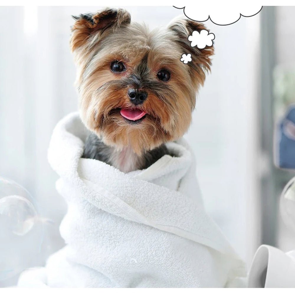 Quiet Dog Clippers with Ultra-Quiet Motor and Titanium Ceramic Blades for Stress-Free Grooming - LofiMart